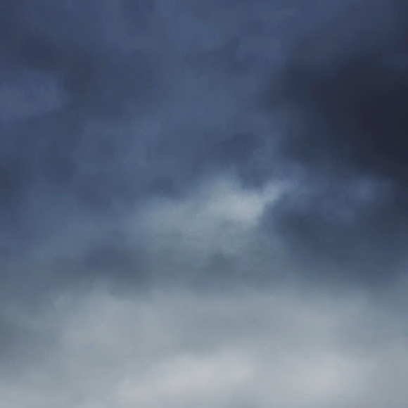 Meet your Posher, Ana - Picture 1 of 1